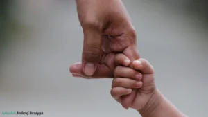 wniosek o podwyższenie alimentów