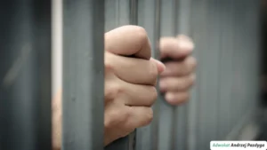 zatrzymanie przez policję