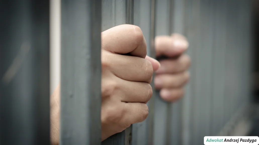 zatrzymanie przez policję